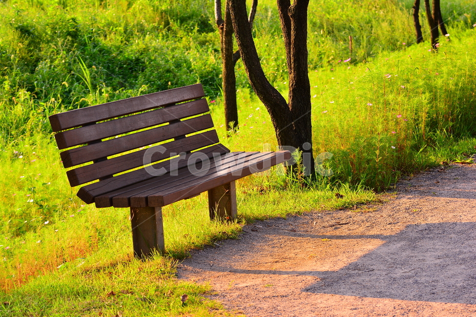 벤치,의자,나무의자,쉼터,휴식,빈자리,relaxation,rest,쉼,쉬어가는곳,힐링,여유,명상,산책,bench,leisure,sit,chair,풍경,앉다,자리,편안한,공원,healing,늦은오후,휴식,힐링,rest,relaxation,healing