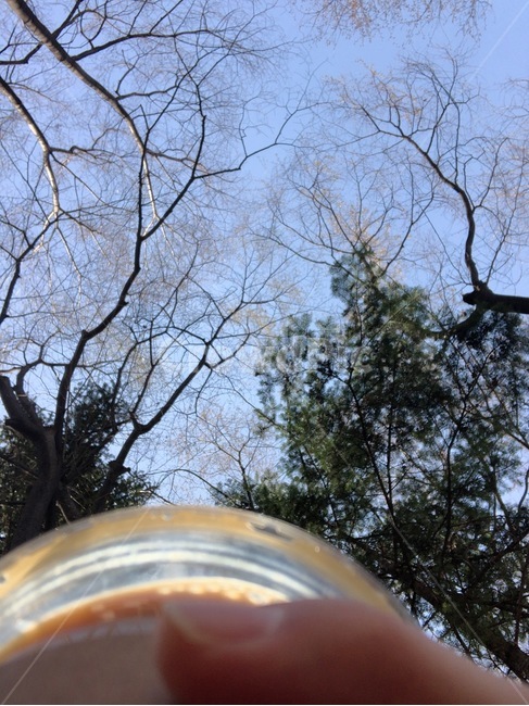 나무,커피,여유,봄,산뜻함,산책
