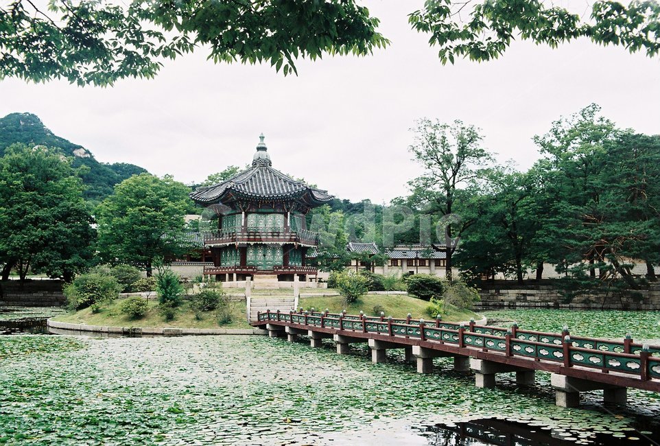 한국전통,경복궁,향원정,연못,필름카메라,filmcamera,film,koreanpalace,koreantraditionalgarden,koreantraditional,koreanculture,한국전통,한국문화,korean traditional,korean culture,건축물,건물외관,exterior,building,structure,architecture,construction
