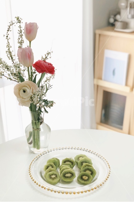 plant,식물,인테리어,꽃,과일