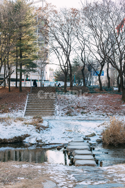 돌다리,동네,풍경,landscape,도시,city,한국도시풍경,한국도시경관,korea,cityscap,배경화면,하천,tree,나무,plant,식물