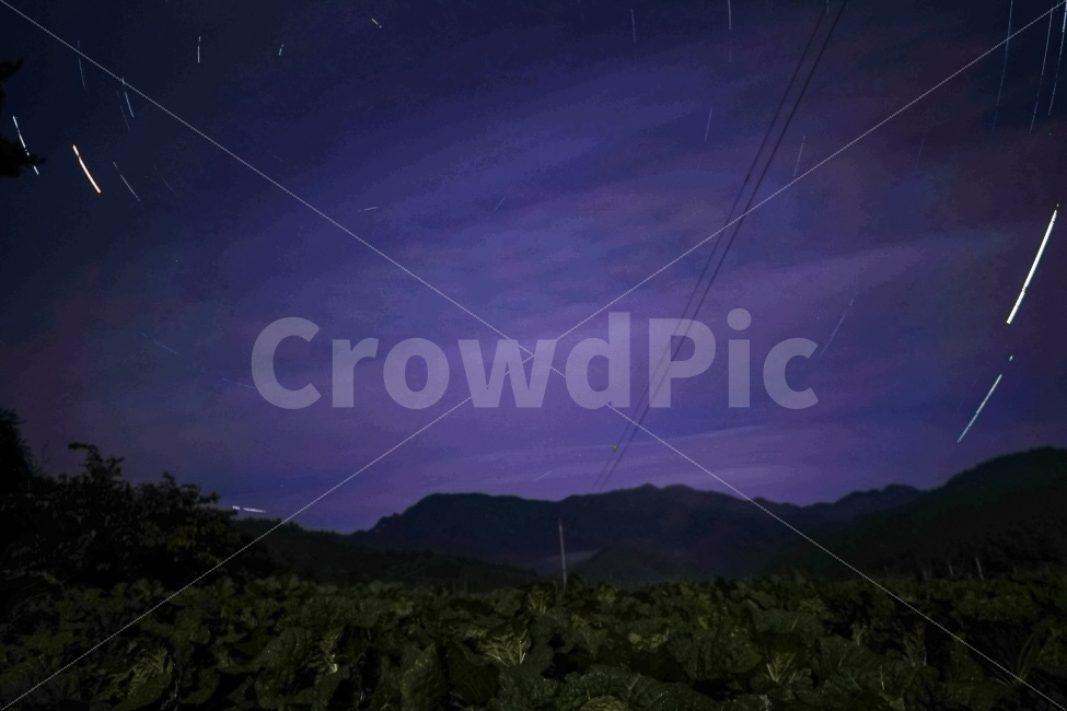 별,궤적,시골,야경,배추,별궤적,야간,밤,강원도,자연,풍경,nature,landscape,야경,밤,nightscape,night,outdoors,옥외