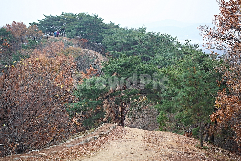 전등사,산성,성,성곽,길,둘레길,숲,숲길,담,돌담,가을,자연,풍경,식물,벽,방어벽,낙엽,단풍,가을,계절,fall,autumn,season,자연,풍경,nature,landscape
