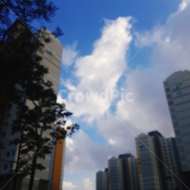 하늘,나무,구름,아파트,흐림,도시,풍경,city,landscape,한국도시풍경,한국도시경관,korea cityscape,office building,사무실 건물,building,건물,outdoors,옥외,nature,자연