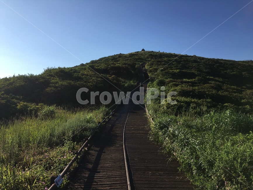 산,풍경,길,하늘,나무