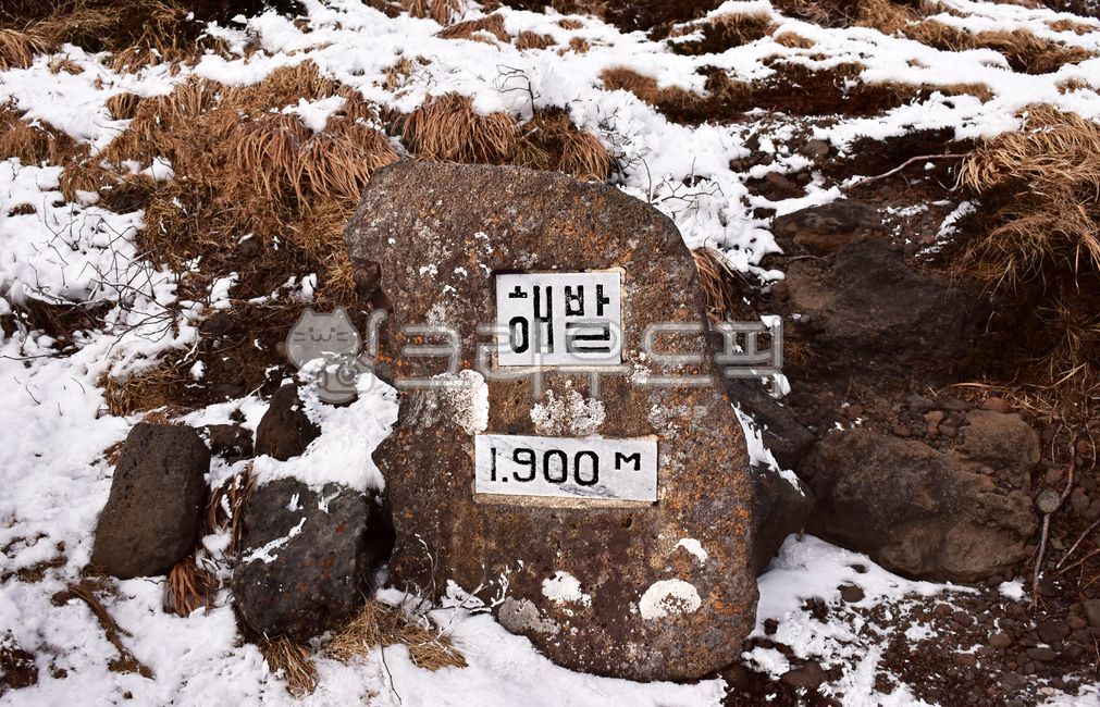한라산,고도,해발,1900m,산,높이,해발고도,현무암,안내판,이정표,거친,등산,오르다,눈,눈이쌓인,새겨진,자연,알리다,mountain,제주도,한라,height,elevation,carve,altitude,basalt,climb,mountaineering,milestone,barren,wild,rough,nature,snowy,inform