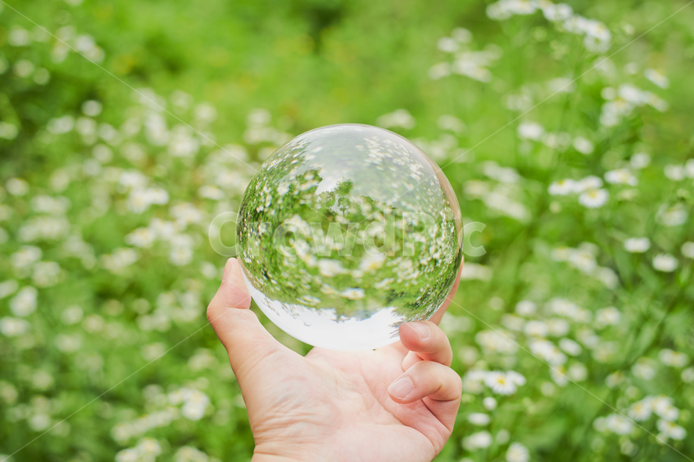 수정,구슬,오후,녹색,풀밭,원형,꽃,green,crystal,식물,자연,plants,nature,꽃,flower,사람,인물,인간,human,person,신체일부,몸,body,감성,sensible,feeling