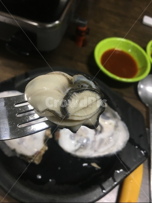 굴,조개,seashell,oyster,음식