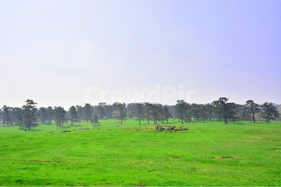제주,제주도,제주시,마방목지,초원,잔디,하늘,나무,초록색,자연,풍경,nature,landscape,제주풍경,목장,제주코스,제주인기,산책,산책길,제주유산,제주명소,천연기념물,제주마,여의도4배면적,봄날씨,계절,녹색풍경,자연,풍경,nature,landscape,한국자연풍경,한국자연경관,korea nature landscape,제주도,jeju,jeju island,grass,plant,식물,field,들,outdoors,옥외,grassland,목초지,rural,농촌,farm,농장