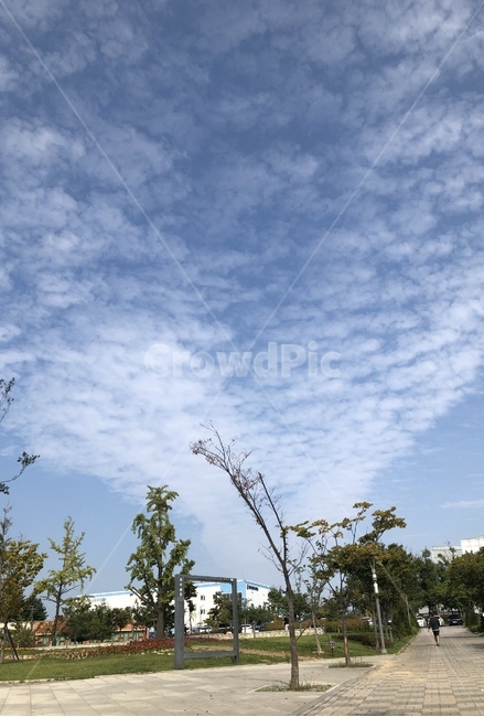 outdoors,자연,옥외,하늘,구름,맑은날,길,생각,nature