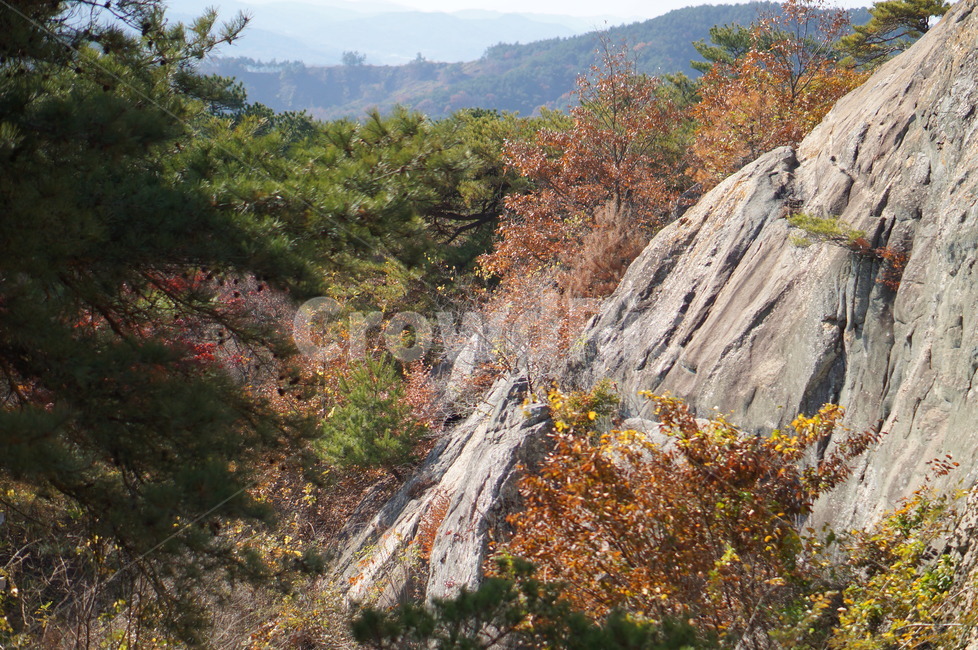 성흥산성,가림성,부여,자연,산,나무,힐링