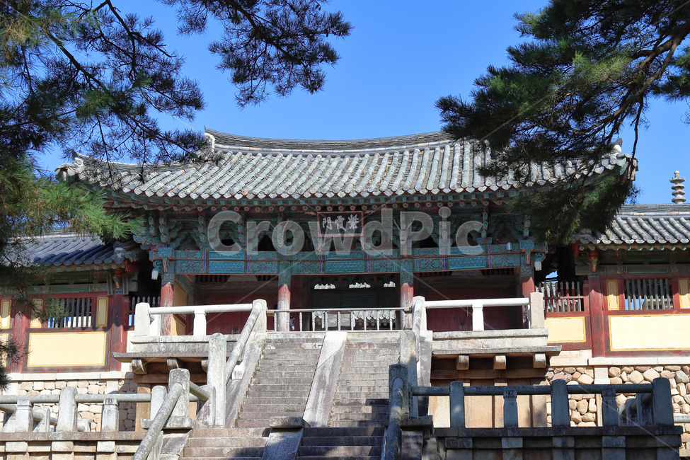 불국사,자하문,백운교,청운교,중문,경주,신라,대웅전,통일신라,건물,건축물,building,architecture,기와,temple,신전,handrail,난간,banister