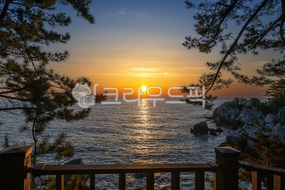 대한민국,강원도,삼척,관광,관광지,랜드마크,자연,하늘,실외,풍경,바다,바다풍경,촛대바위,바위,돌,일출,태양,해,수평선,기암괴석,동해,동해바다,추암,시작,새벽,수면,새로운,나무,소나무,능파대,라피에,데크,경이로움