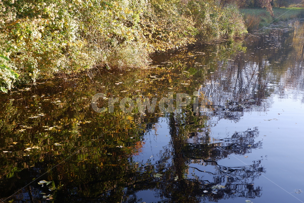 자연,가을,공원,단풍,나무,land,땅,nature,outdoors,옥외,water,물,swamp,늪,marsh,습지,bog,변소