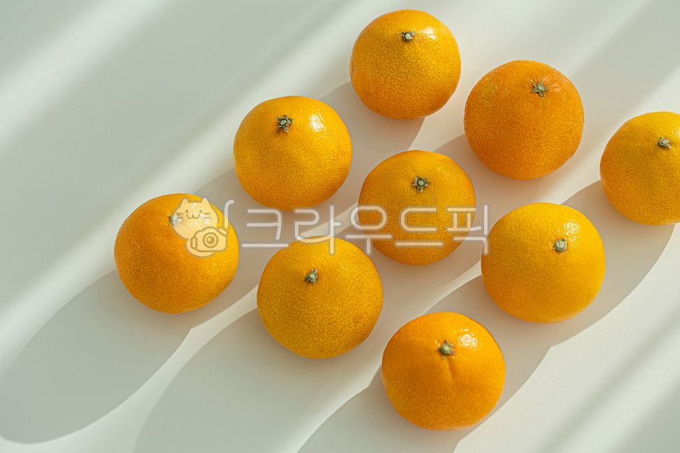 과일,감귤류,귤,천혜향,한라봉,레드향,황금향,제주도,비타민c,감귤