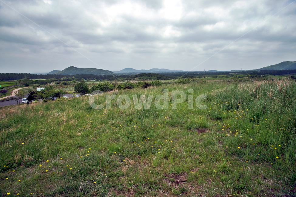 갑마장길,제주도,표선면,가시리,트레일,자연,풍경,nature,landscape