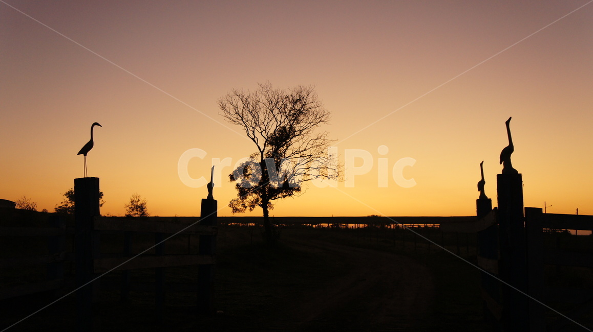 노을,아침노을,저녁노을,바탕화면,배경화면,새벽,황혼,nature,자연,redsky,붉은하늘,sunset,일몰,dusk,sky,하늘