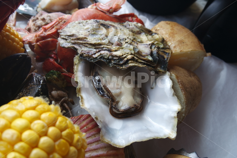 스텔라마리스,프랑스굴,굴,조개,갑각류,해산물,seafood,food,음식,음식,식재료,요리,food,cook,meal,dishes,food reserves,수산물,해산물,fishery products,seafood
