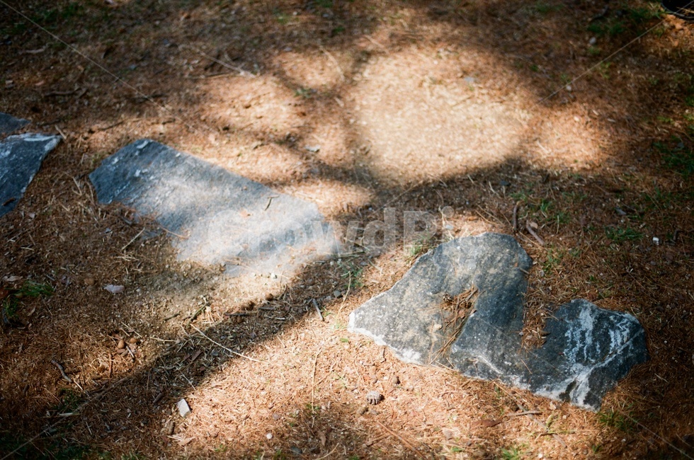 돌길,이미지,가을,감성사진,배경화면,돌,그림자,나무그림자,필름사진,실루엣,그림자,silhouette,shadow