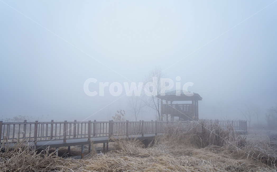 안개,공원,풍경,시설물,정자,겨울,계절,감성,겨울,계절,winter,season,자연,풍경,nature,landscape,weather,날씨