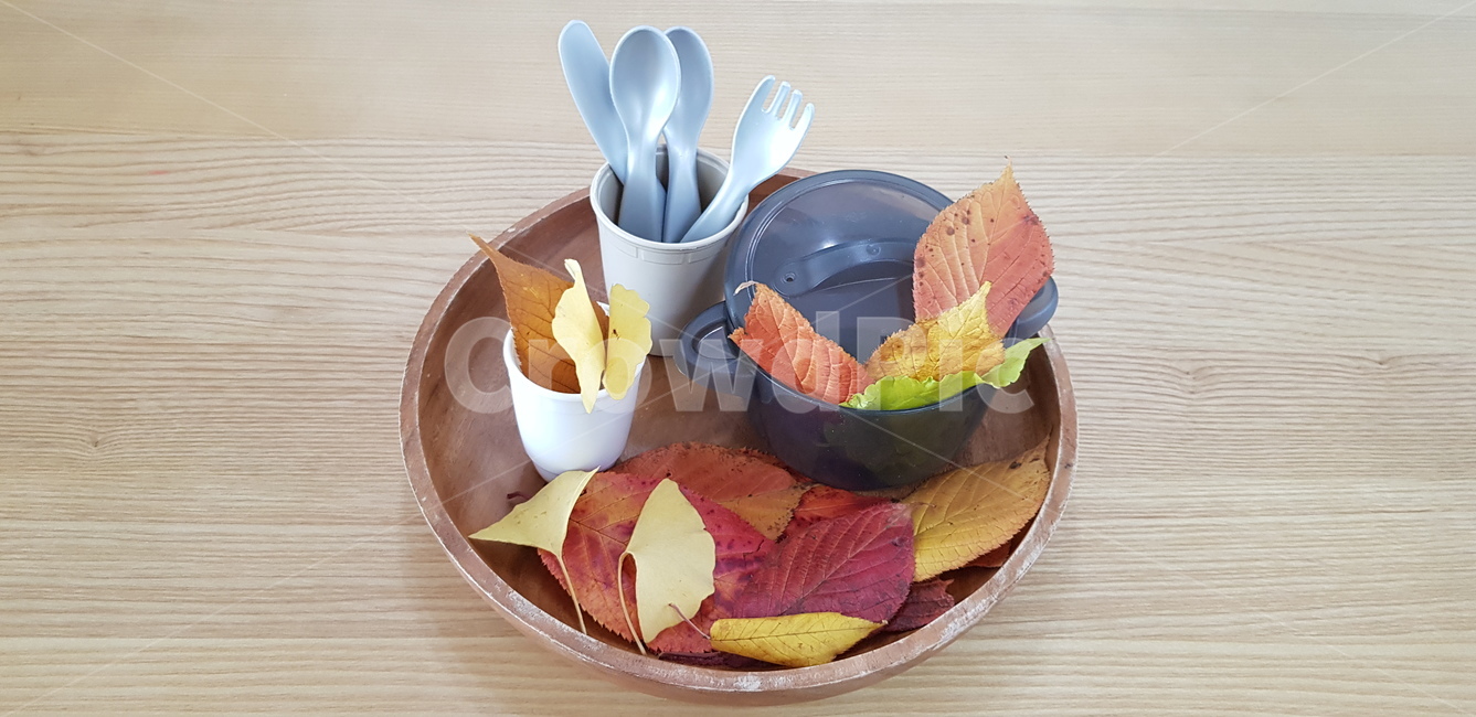 단풍,단풍잎,가을,낙엽,나무잎,나무잎사귀,프라스틱그릇,포크,컵,나무받침,노랑,빨강,초록,식탁,접시,bowl,사물,물건,오브젝트,thing,object,matter