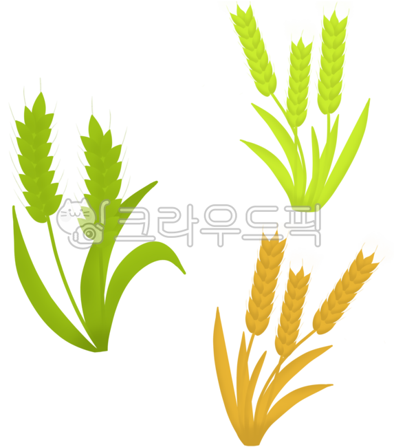 보리,보리일러스트,보리스티커,청보리,청보리일러스,청보리스티커,보리밥,보리빵