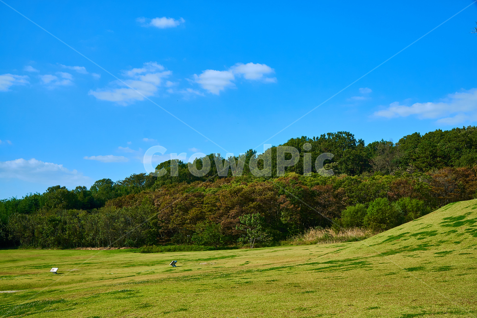 field,들,자연,grass,잔디,목초지,풍경,야외,grassland,nature,맑은,하늘,sky,배경,광활한,가을날,배경화면,wallpaper,부여,자연,풍경,nature,landscape,outdoors,옥외,plant,식물