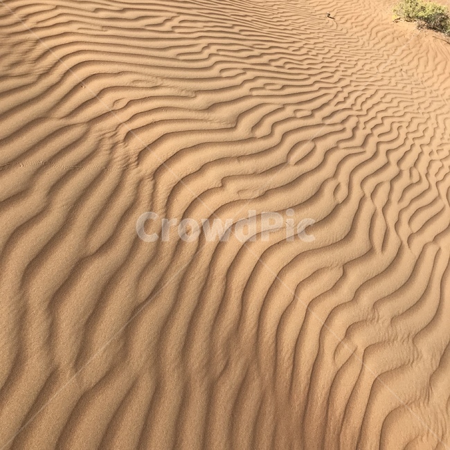 사막,모래,desert,sand,중동,middleeast,arab,middleeast,오만,oman,텍스처,질감,패턴,texture,pattern