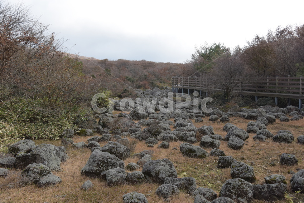 늦가을,한라산,1100고지,이끼,돌,자연,풍경,nature,landscape,한국자연풍경,한국자연경관,korea nature landscape,제주도,jeju,jeju island,ground,바닥,rubble,파편