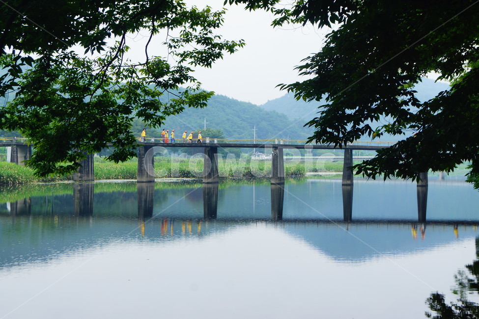 물,water,nature,자연,plant,식물,초목,tree,나무,다리,자연,풍경,nature,landscape,건축물,건물외관,exterior,building,structure,architecture,construction,outdoors,옥외,waterfront,워터 프론트