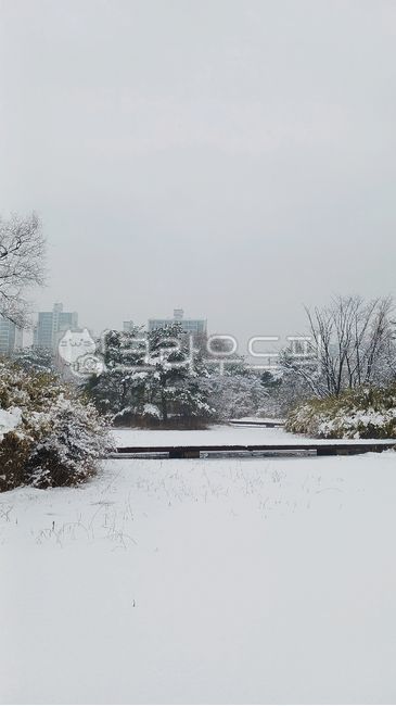 눈,설경,겨울,얼음,겨울풍경,함박눈,snow,snowscape,winter,ice,호수,일산호수공원,자연,옥외,눈보라,nature,outdoor,blizzard