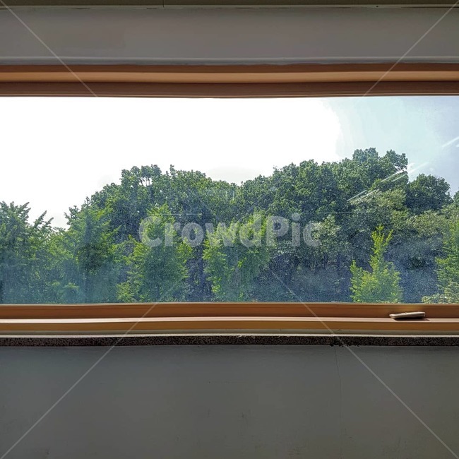 창문,숲,나무,액자,그림