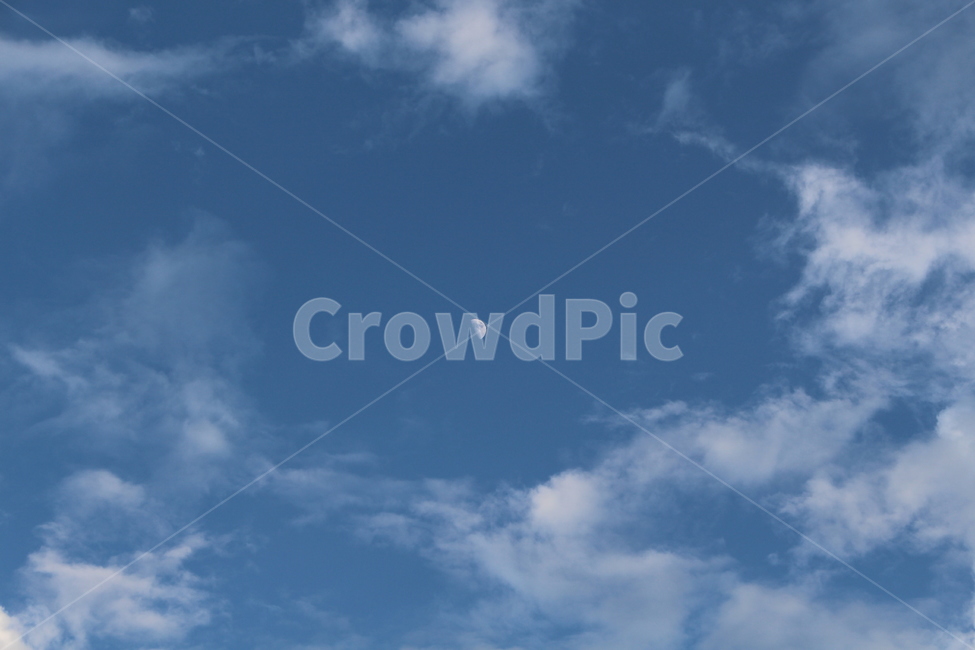 nature,자연,outdoors,옥외,sky,하늘,azuresky,푸른하늘,반달,달,배경,자연,풍경,nature,landscape