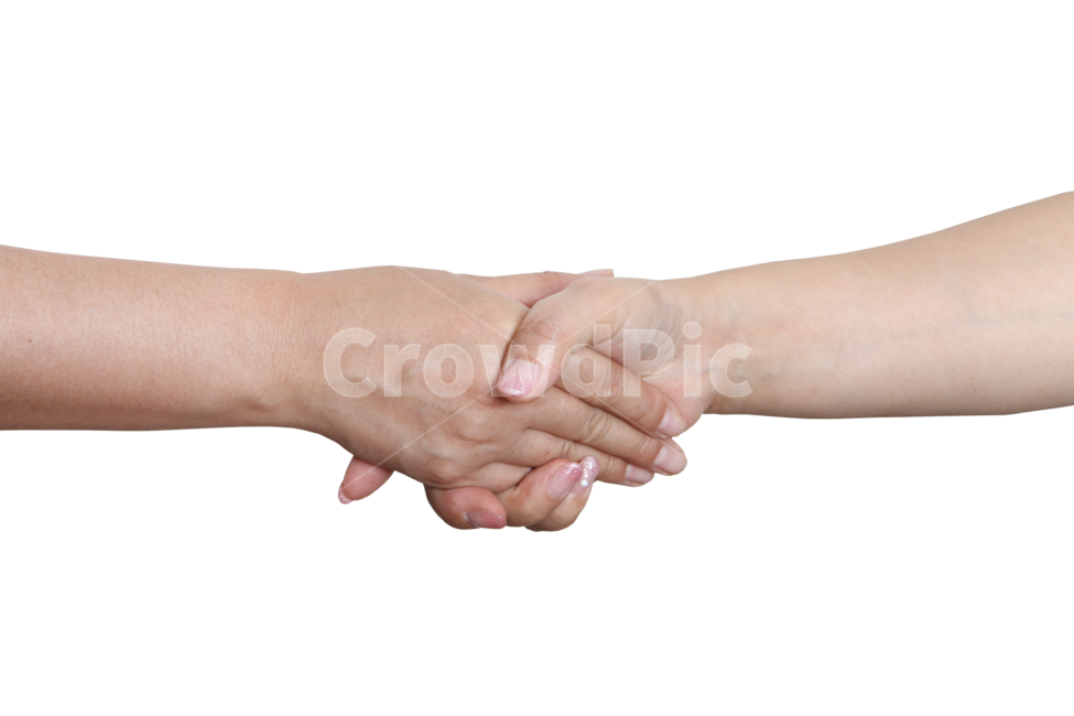 손,악수,여자,누끼,합의,사람,인물,인간,human,person,신체일부,몸,body,손,제스처,표시,손짓,표현,gesture,hand,sign,expression,누끼,remove background