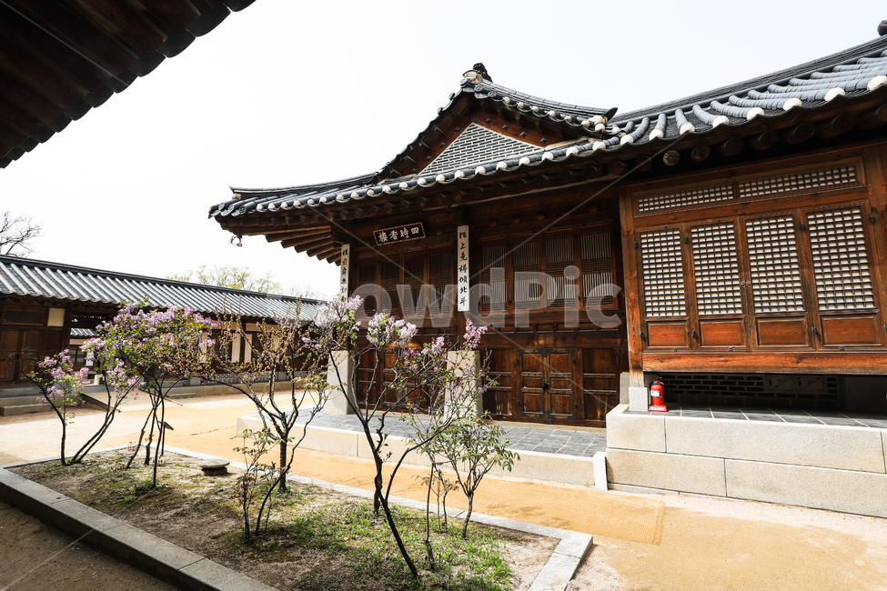 경복궁,문화재,서울,건축,궁전,문,단청,지붕,기와,돌담,돌기둥,고건축,한국,창호지,서까래,석가래,기둥,창살,흙길,주춧돌,추녀,목조건축물,창문,방문,한국전통,한국문화,korean traditional,korean culture,건축물,건물외관,exterior,building,structure,architecture,construction