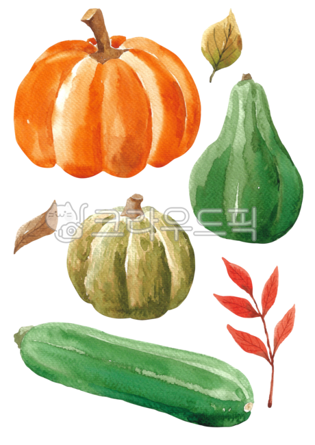 Botanical,pattern,zucchini,Halloween Day,vegetable,Maple leaf,squash,fallen leaves,fall,botanical,leaves,drawing,Sweet pumpkin,season,Maple,handwork,hand drawing,nature,leaf,brown,food,watercolor,painting,background,plant,maple,illustration,autumn,Waterco