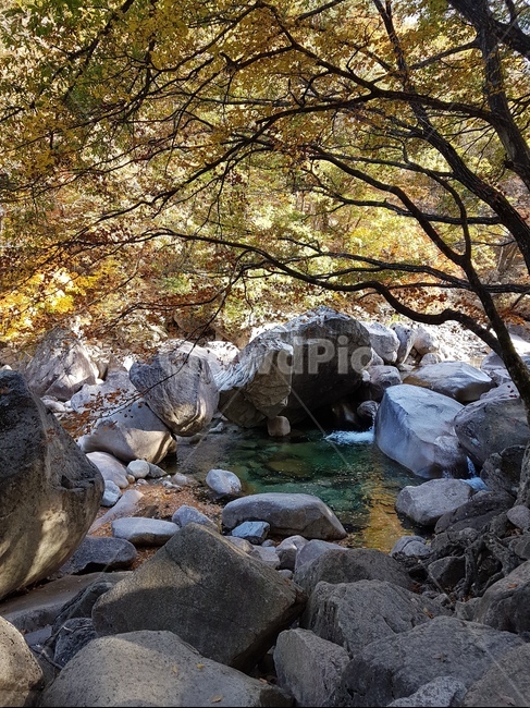 산,계곡,풍경,자연,조화