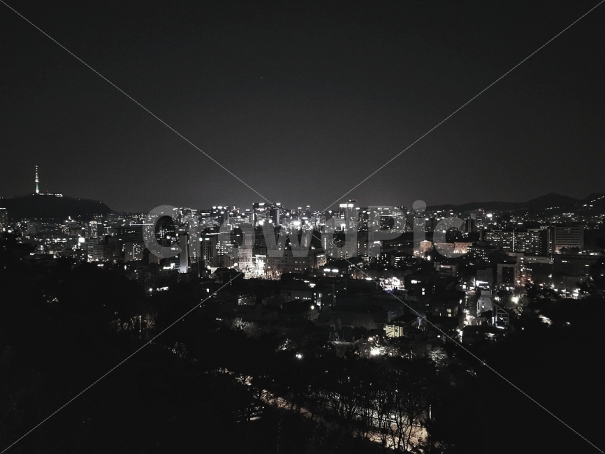 자연풍경,감성사진,도시풍경,사물,야경,여름,색감,일상,도시,풍경,city,landscape,야경,밤,nightscape,night,흑백,모노톤,monochrome,black and white,nature,자연,outdoors,옥외,경치,scenery,aerial view,조감도