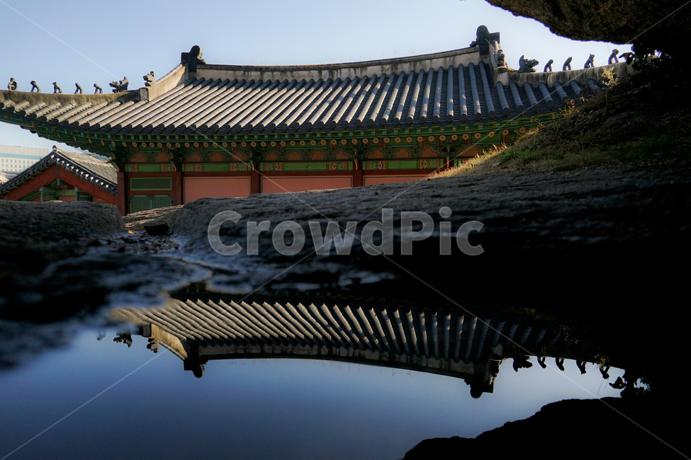 building,건물,고궁,반영,궁,연못,한국전통,한국문화,korean traditional,korean culture