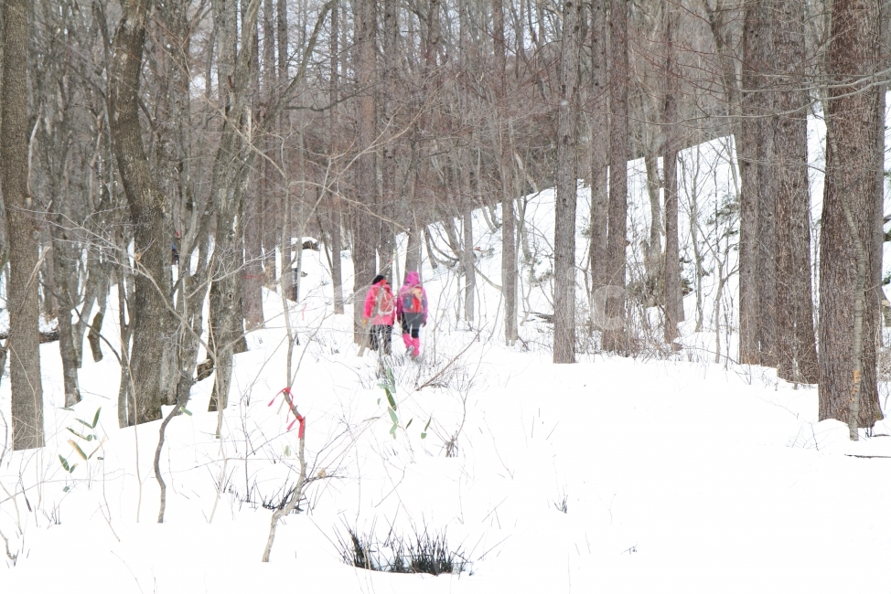 등산,겨울풍경,설경,산길,자연,감성,눈길,겨울,계절,winter,season,자연,풍경,nature,landscape,사람,인물,인간,human,person,outdoors,옥외