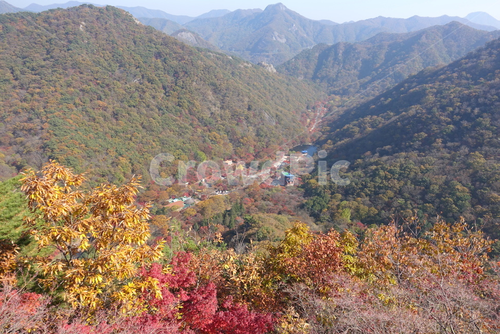 산,단풍,가을,풍경,경치,자연,내장산,nature,mountain