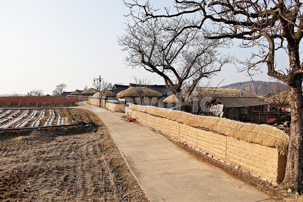 하회마을,초가집,초가,집,전통집,민속집,건물,자연,풍경,겨울,시골,마을,풍경,landscape,country,rural,town,한국전통,한국문화,korean traditional,korean culture