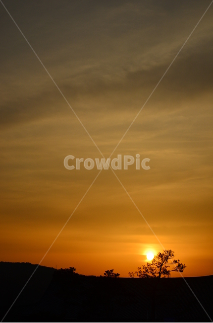 석양,노을,일몰,하늘,실루엣,소나무,구름,자연,풍경,nature,landscape,실루엣,그림자,silhouette,shadow,outdoors,옥외,light,빛,flare,플레어,sunlight,햇빛