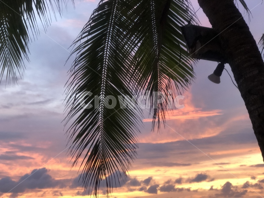 붉은노을,구름,휴양지,하늘,sunset,야자수,동남아시아,해질녘,보라하늘