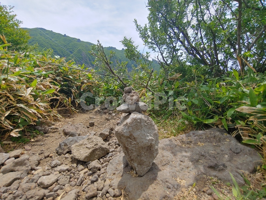 숲길,나무,잎,하늘,돌탑,mountain,sky,clouds,green,초록,등산,한라산,배경,바위,rock,stone,trailwalkway