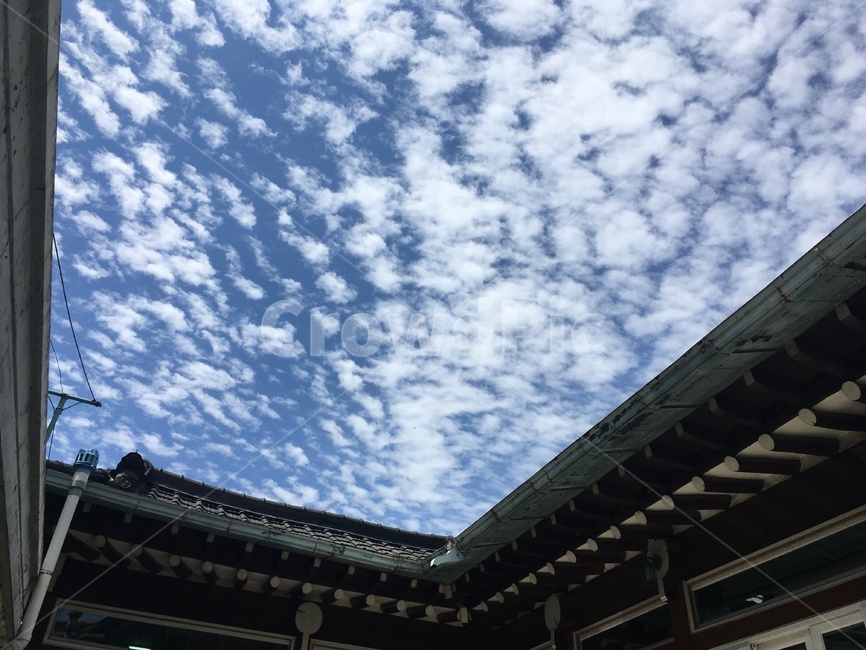 양떼구름,한옥,지진운,하늘,cloud,푸르다,sky,outdoors,마당