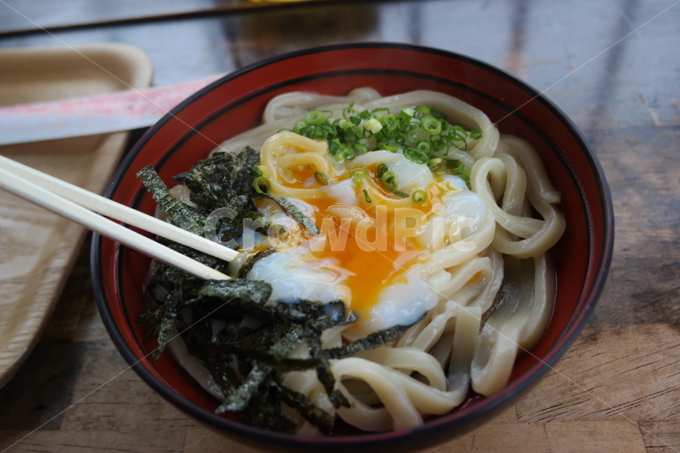 일식,일본음식,계란우동,우동,후쿠오카,음식,식재료,요리,food,cook,meal,dishes,food reserves,일식,일본음식,일본요리,Japanese food,Japanese dishes,Japanese meal,Japanese cook