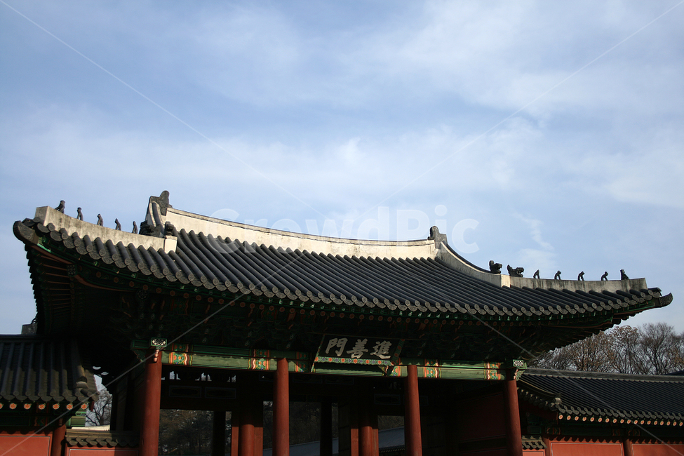 창덕궁,궁궐,한국의궁,세계문화유산,문화유산,진선문,한국전통,한국문화,korean traditional,korean culture,랜드마크,landmark,tourist attraction,한국랜드마크,한국관광지,한국명소,korea landmark,korea tourist attraction