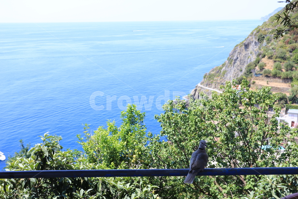 이태리,이탈리아,친퀘테레,italy,cinqueterre,마나롤라,리오마지오레,몬테로소알마레,베르나차,코르닐리아