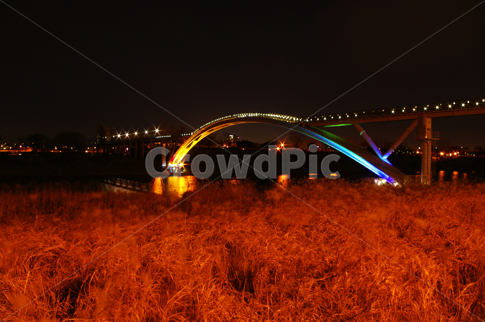 서울,한강,공원,야경,다리,불빛,조명,억새밭,야경,밤,풍경,nightscape,night,landscape,건축물,건물외관,exterior,building,structure,architecture,construction,건물,bridge